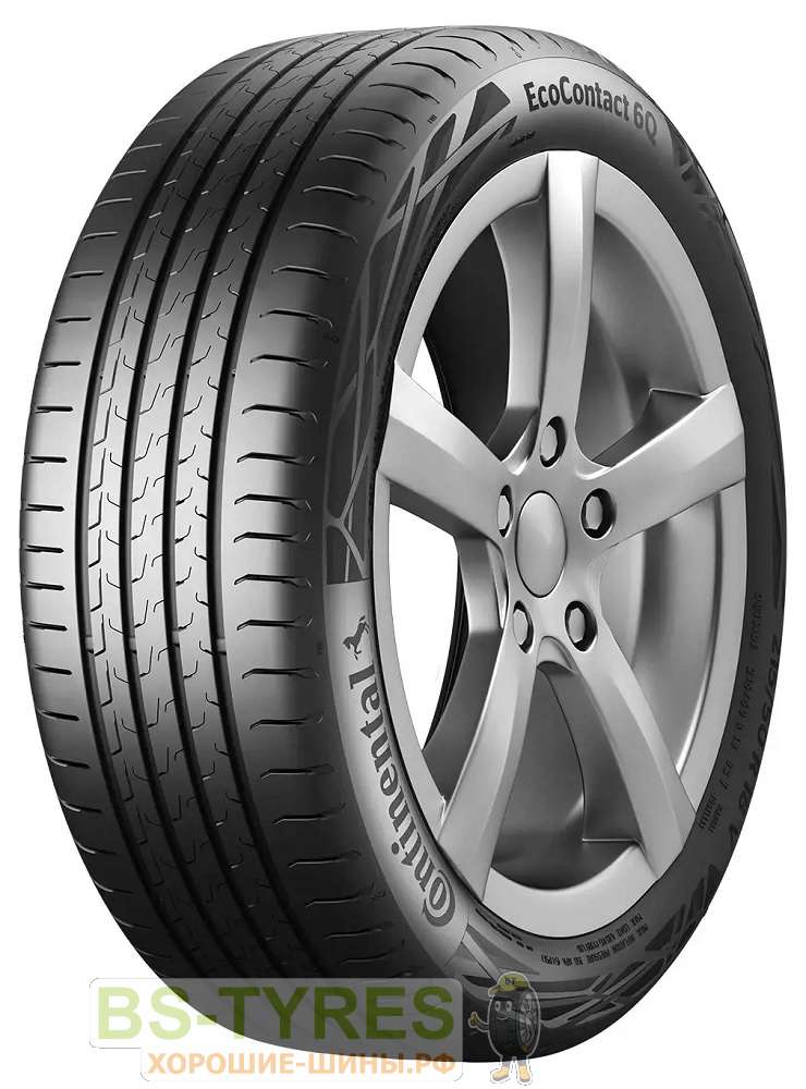 ContiEcoContact 6Q