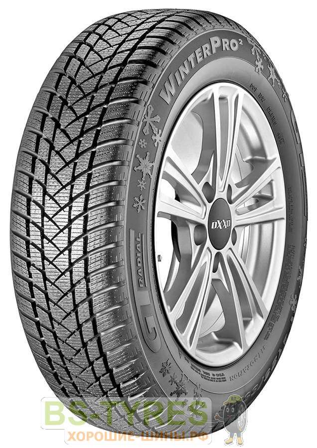 Champiro WinterPro 2