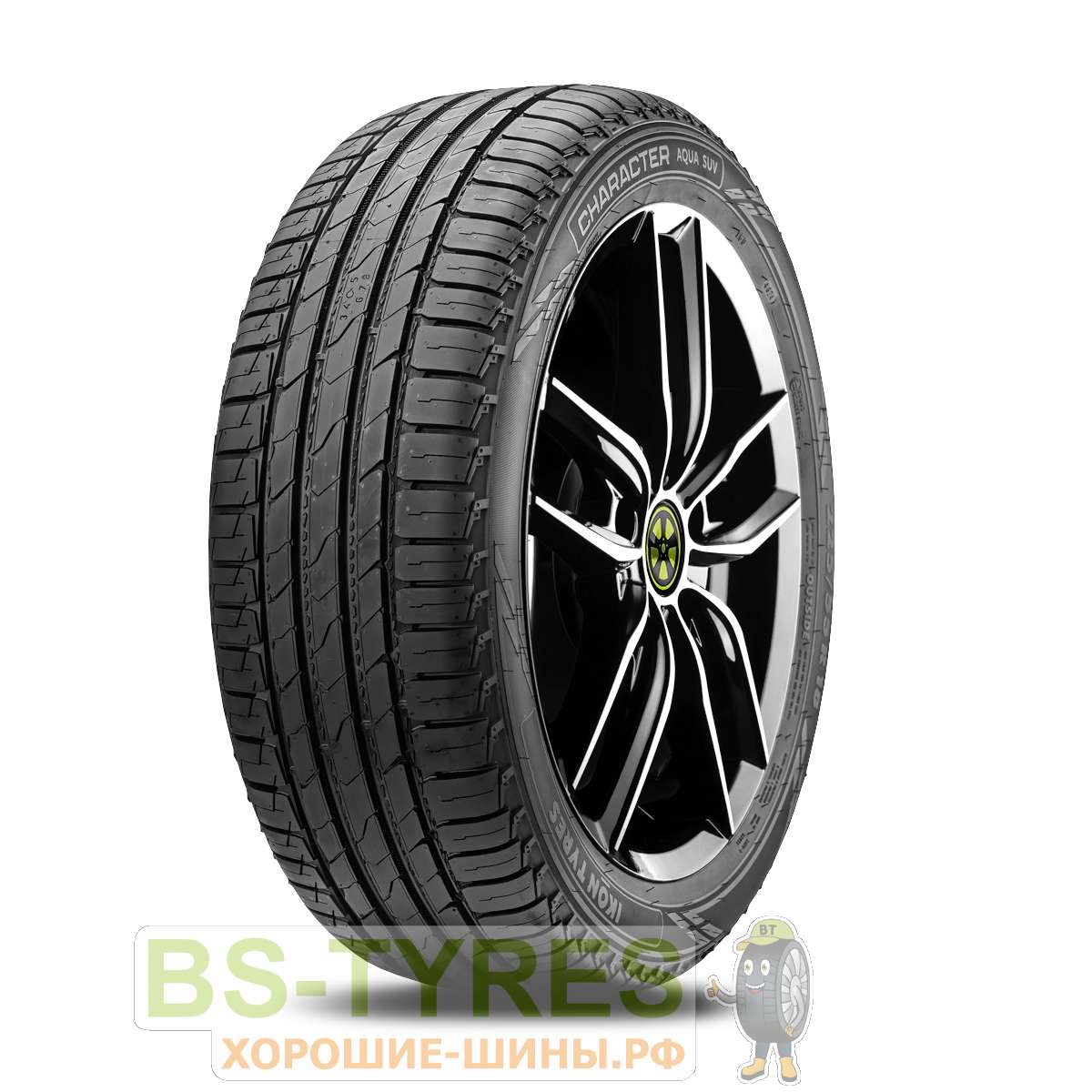 Character Aqua (Nordman S2)