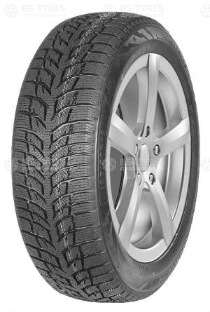 Autogreen Snow Chaser 2 AW08 215/60 R16 95T