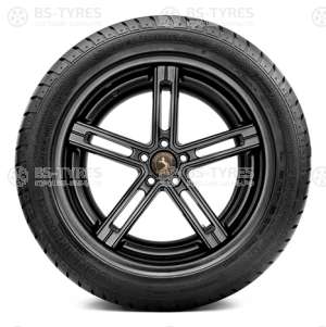 Continental ContiSportContact 2 255/40 R19 100Y