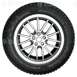 Cordiant Polar 2 205/55 R16 91T