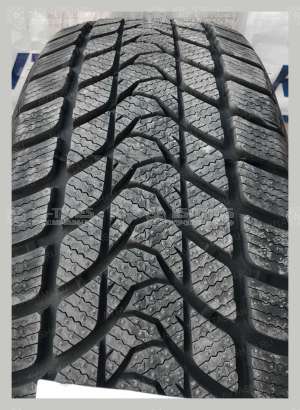 Delinte Winter WD1 165/70 R14 81T