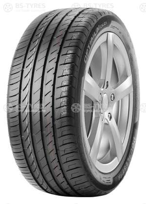 Doublestar DU01 225/50 R17 98W