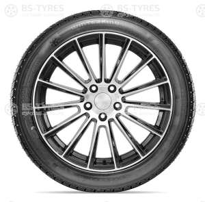 Doublestar DW02 265/50 R19 110T