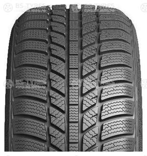 Evergreen Winter EW62 185/70 R14 88H
