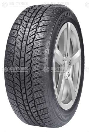 Evergreen Winter EW62 185/70 R14 88H