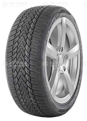 FronWay Icemaster I 225/50 R18 99H