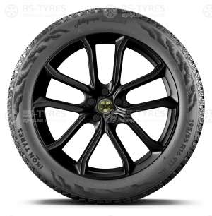 Ikon (Nokian Tyres) Autograph Snow 5 SUV 265/60 R18 114R