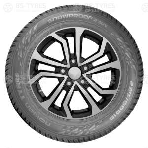 Michelin Latitude Alpin 255/50 R19 107H