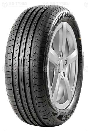 Roadmarch EcoPro 99 195/55 R16 91V