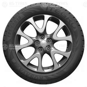 Rosava Itegro 195/55 R16 87V