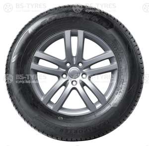 Tracmax RF09 225/65 R16C 112/110R