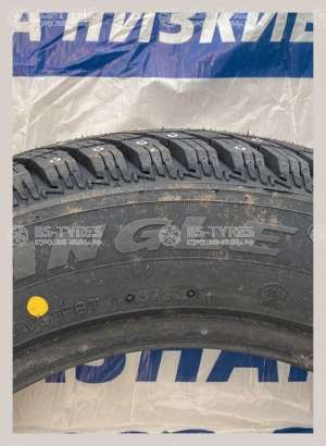 Triangle IcelynX TI501 175/70 R14 88T