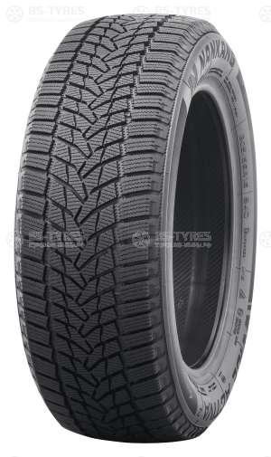 Nankang Ice Activa 2 275/40 R20 106T